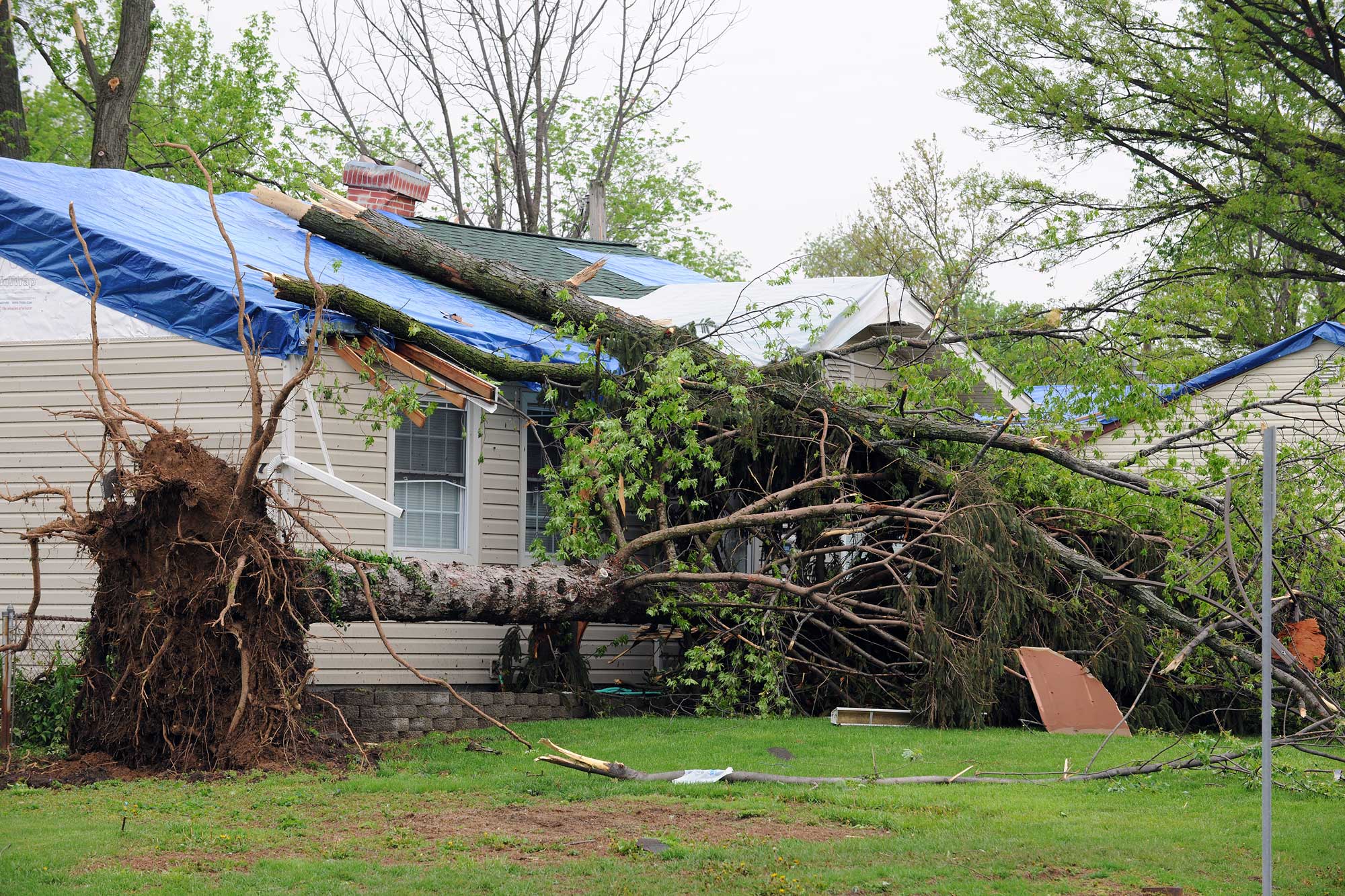 Roof Tree Damage Repair, Lafayette