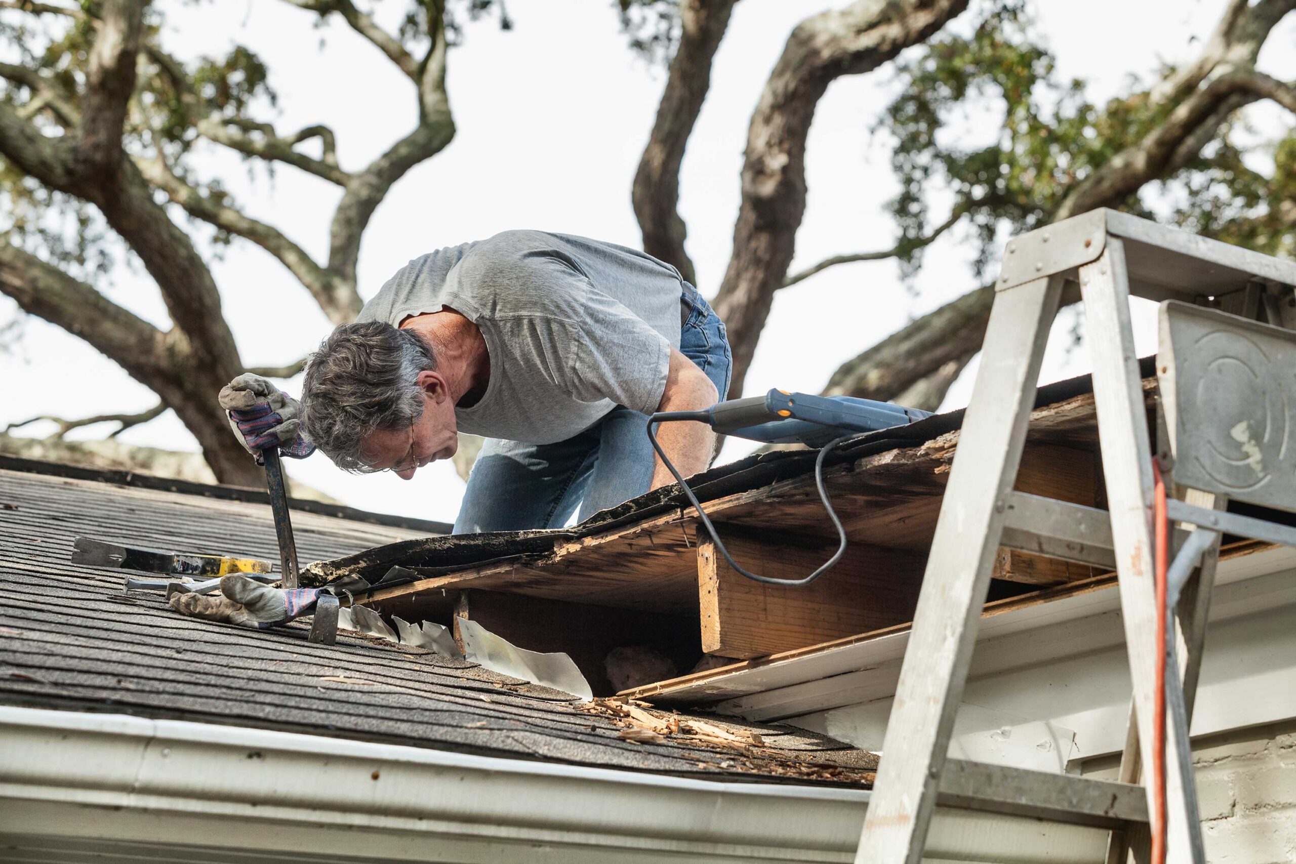 Roof Tree Damage, Lafayette