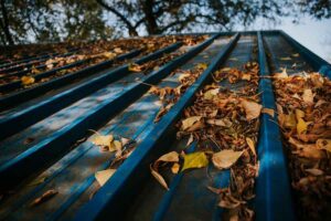 Indiana Roof Fall Maintenance Tips